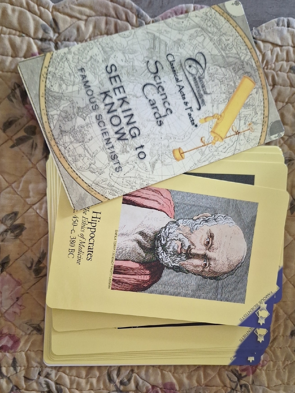 Classical Arts & Facts 'Seeking to Know' Science Cards - Yellow Deck